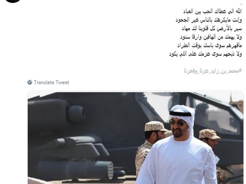 في يوم ميلاد ولي عهد أبو ظبي: وسم "ميلاد أسد الإمارات" يتصدر تويتر، ومحمد بن راشد يعايد بقصيدة